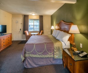 Hotel Rose Garden San Jose - Guest Bedroom