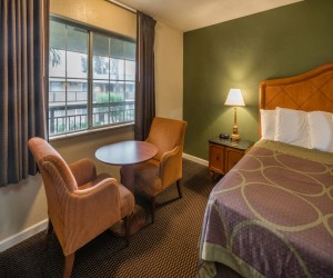 Hotel Rose Garden San Jose - Relax in our comfortable guest rooms