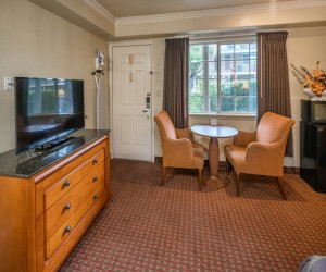 Hotel Rose Garden San Jose - Flat Screen TVs in all our rooms