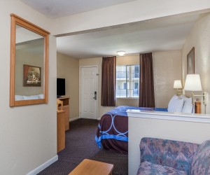 1 King Bed Suite at Hotel Rose Garden